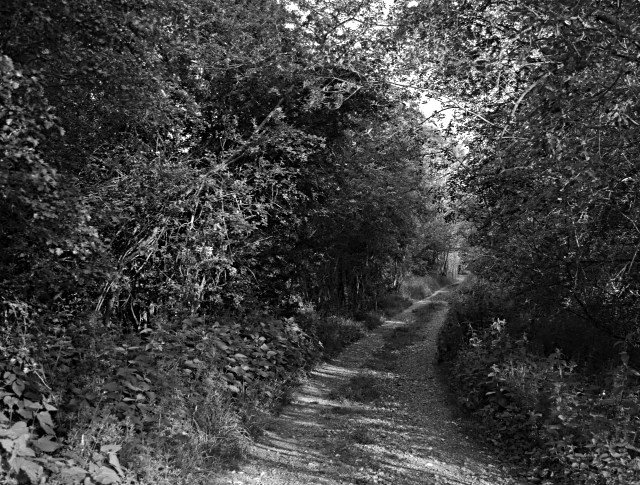 Day 26 - Path