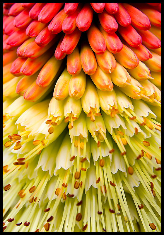 Gradient