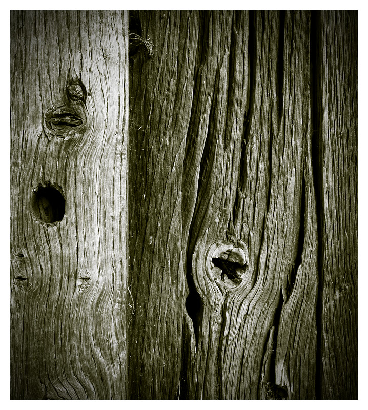 21 - Wood