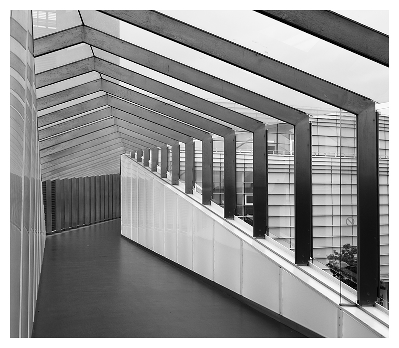 8 - Corridor
