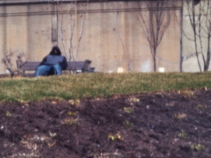 Guy In The Park