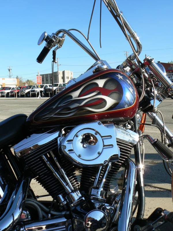 Patriotic Harley