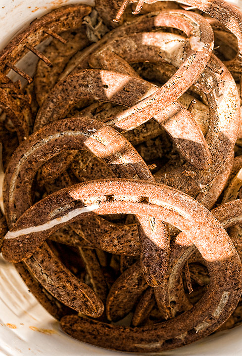 Horseshoes