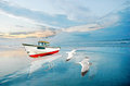 Boat BIrds Reflections