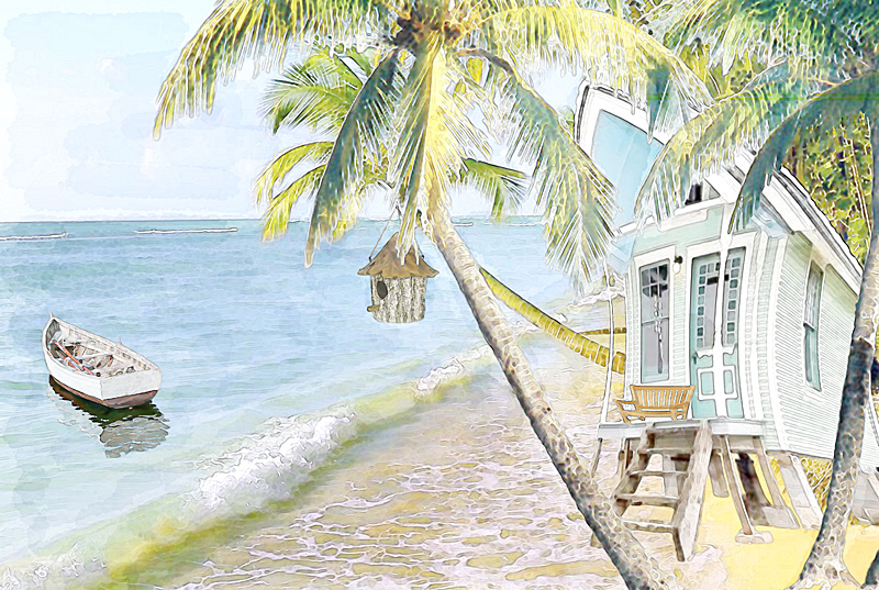 Wacky Beach House