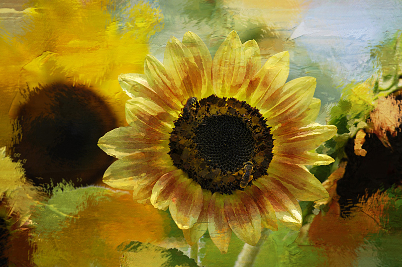 Sunflower Painting