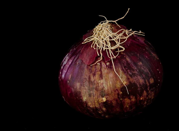 Onion