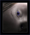 Look Into My Eye