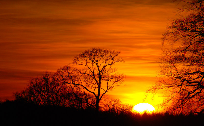 Early Spring Sunset