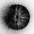 Crumby Vortex