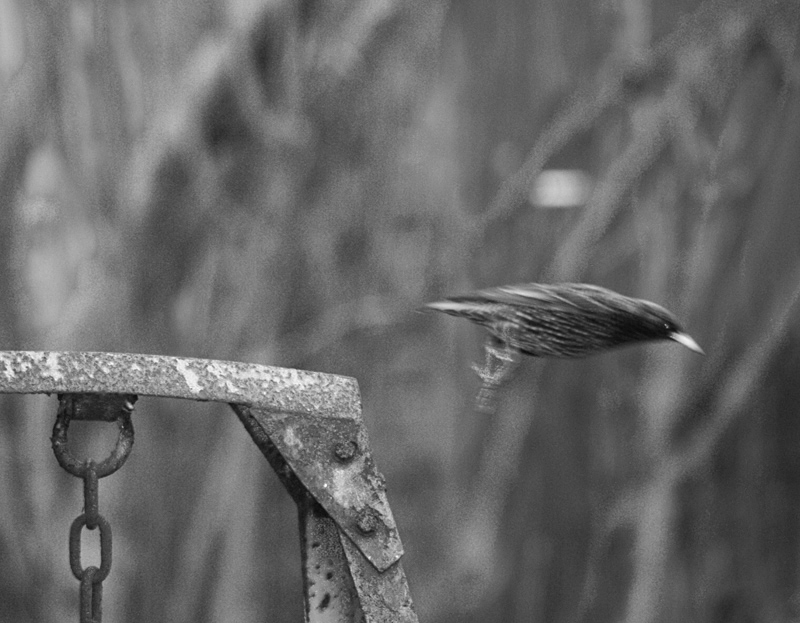 fine art outtake: learning to fly