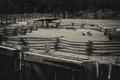 Sheep at Mt Vernon (duotone)
