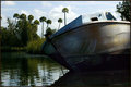 kings bay