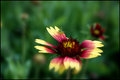 msDSC_5633