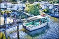 cedar key