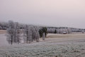 2011 11 22_0504 kopiera