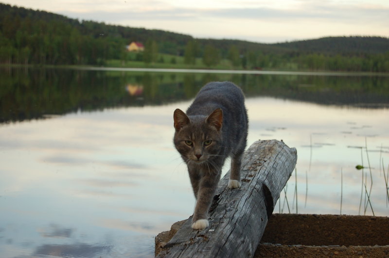 DSC_0208.JPG