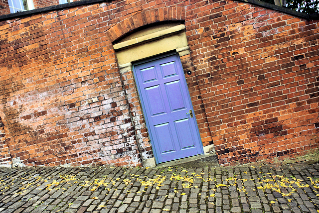 DSC00149 edit.jpg