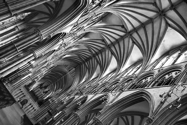 DSC00100 edit.jpg