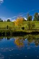 Leeds Castle grounds.jpg