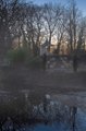 foggy morning.jpg