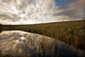 IMG_4875-Edits.jpg