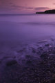 IMG_2880.jpg