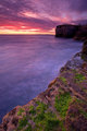~welcome-Evening~.jpg