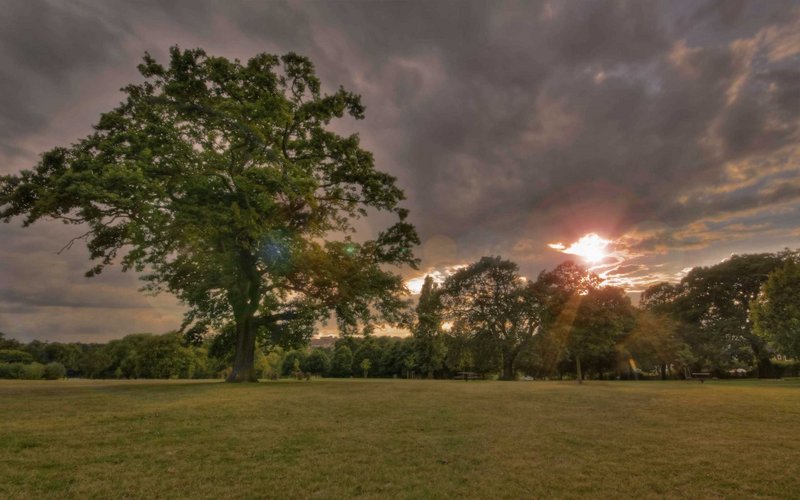 sunset in the park.jpg