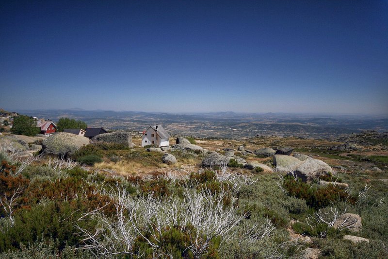 view to the holiday houses.jpg