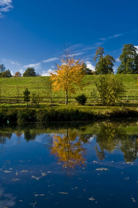 Leeds Castle grounds.jpg
