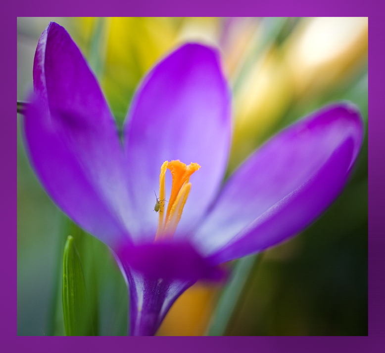 IMG_4673-Edit.jpg