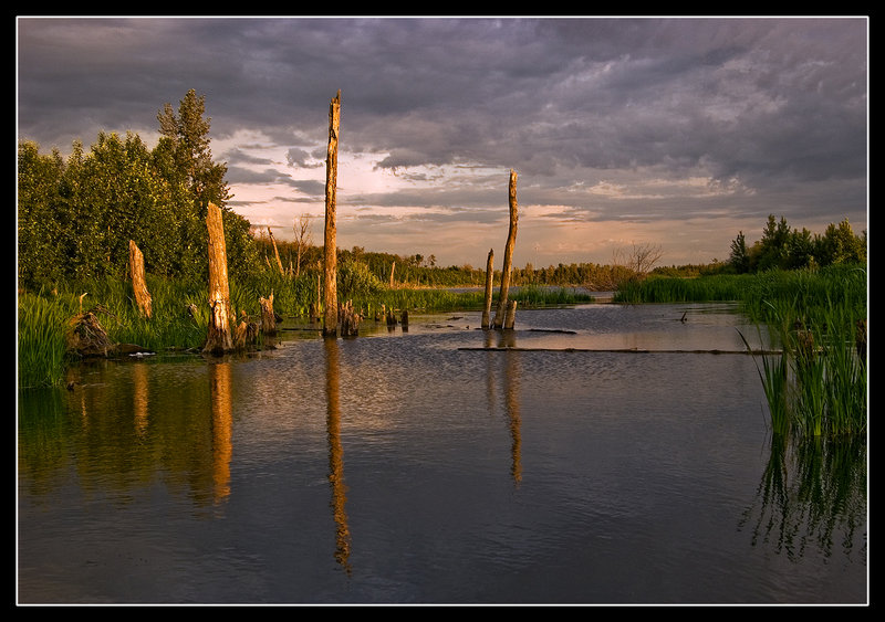 Old-shot-from-the-henday.jpg