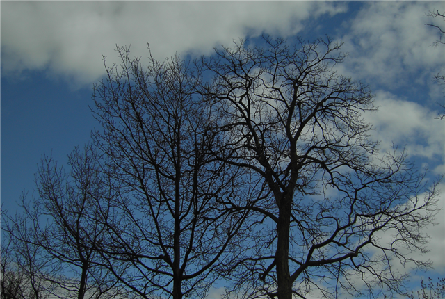 PICT0435-crop (Small).png