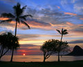 Hawaiian Sunrise
