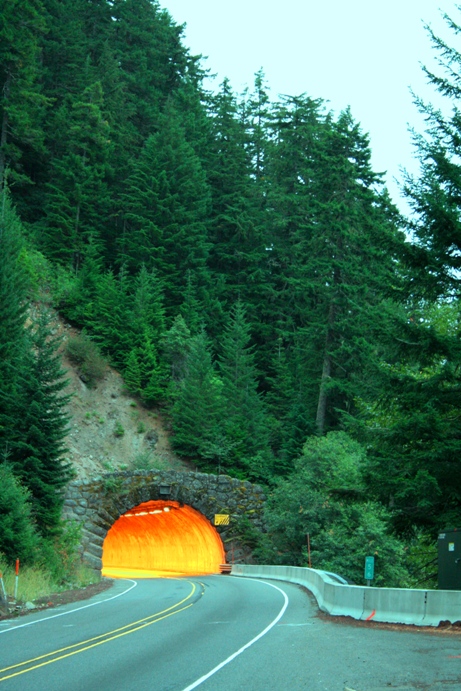 Light at the Entrance of the Tunnel