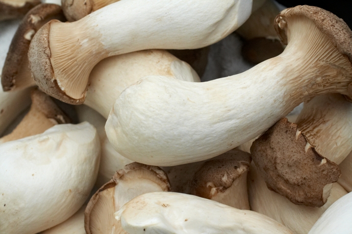 Mushrooms