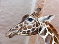 SH100039-Edit.jpg