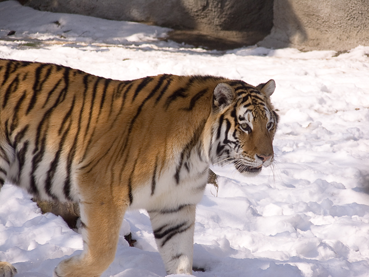 SH100072-Edit.jpg