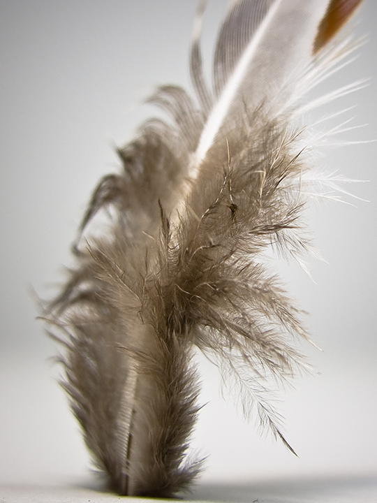SH100009-Edit.jpg