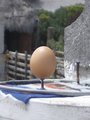 Egg on a Nail