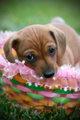 aw :]