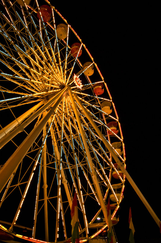 IMGP6405.jpg
