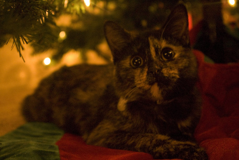 Lucy