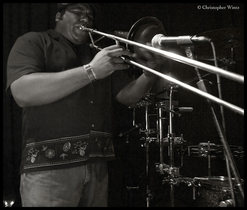 The Horn Player