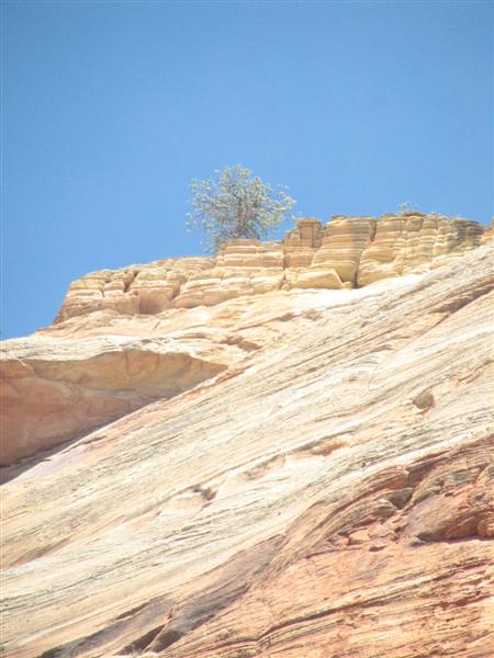 the top