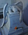 Weeping Angel