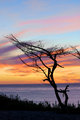 Carmel Sunset