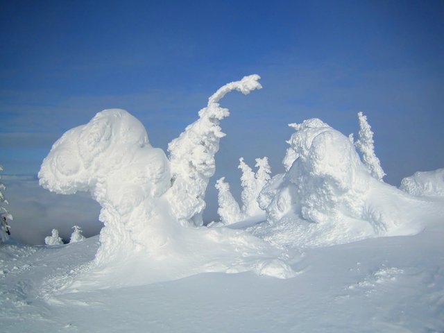 Snow Ghosts