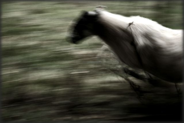 Motion